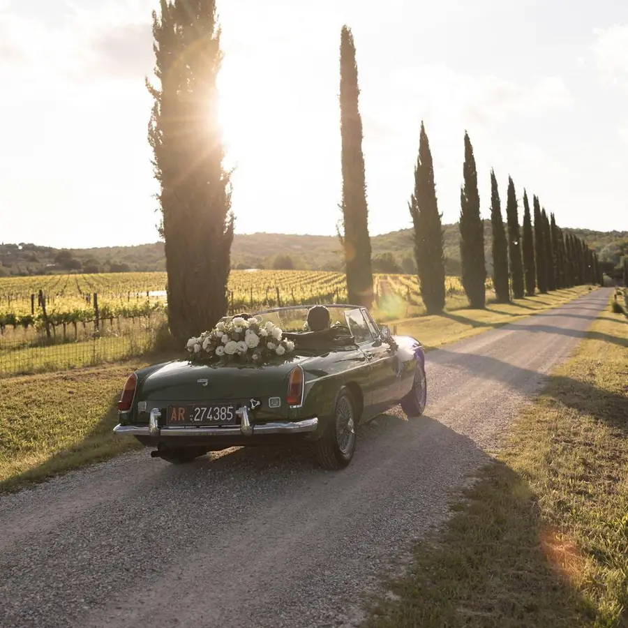L'auto controluce lungo una strada bianca